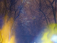 Place Colbert 2.jpg